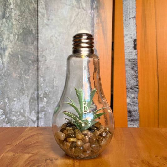 Giant Light Bulb Terrarium Light-Up Centrepieces 9"